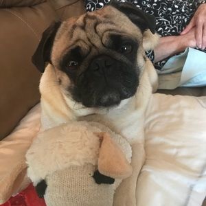 Meet your Posher, Melanie